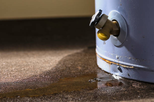  Peppermill Village, MD Water damage restoration Pros