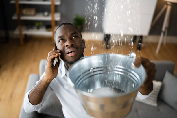 Best Water damage contractors near me  in Peppermill Village, MD