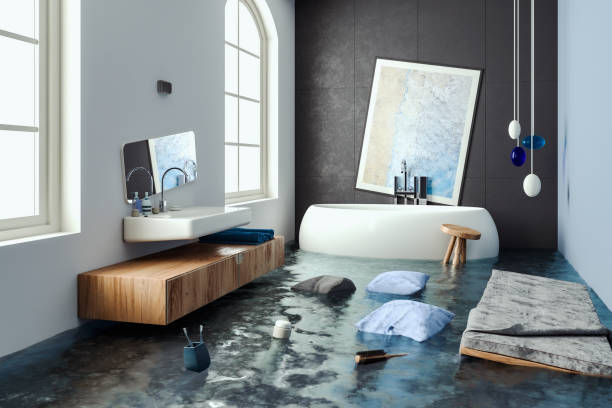 Best Ceiling water damage repair  in Peppermill Village, MD