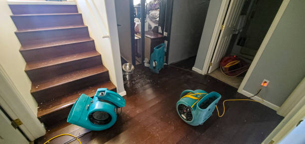 Carpet water damage restoration in Peppermill Village, MD