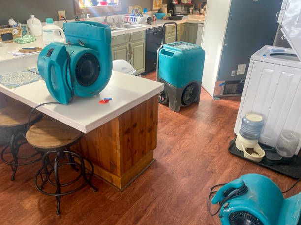 Best Local water damage restoration  in Peppermill Village, MD