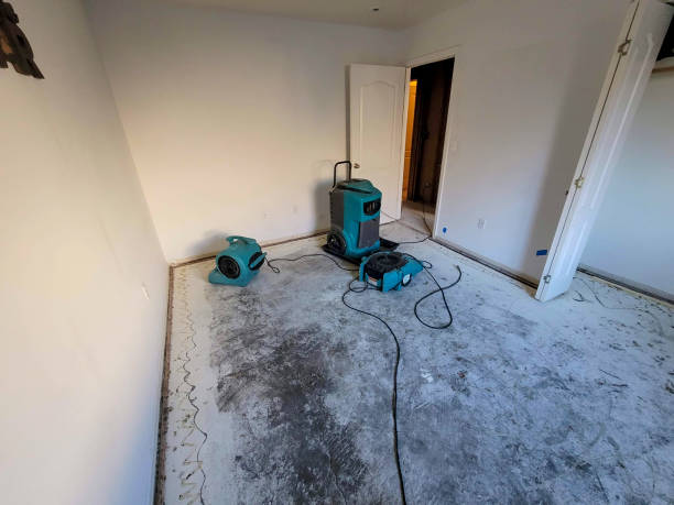 Water damage restoration insurance claims in Peppermill Village, MD