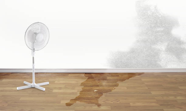 Best 24/7 water damage repair  in Peppermill Village, MD
