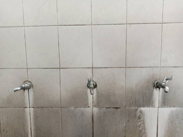 Best Emergency water damage restoration  in Peppermill Village, MD