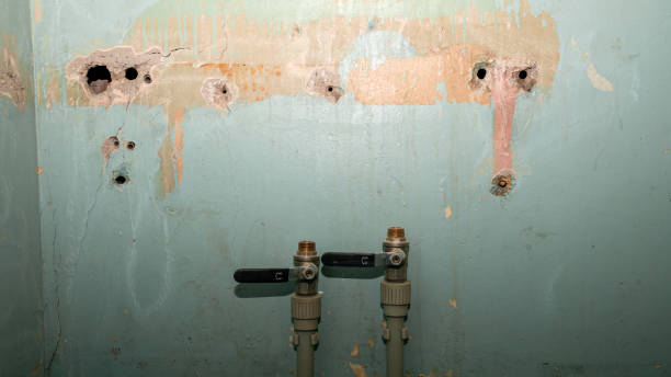 Best Water damage restoration company  in Peppermill Village, MD