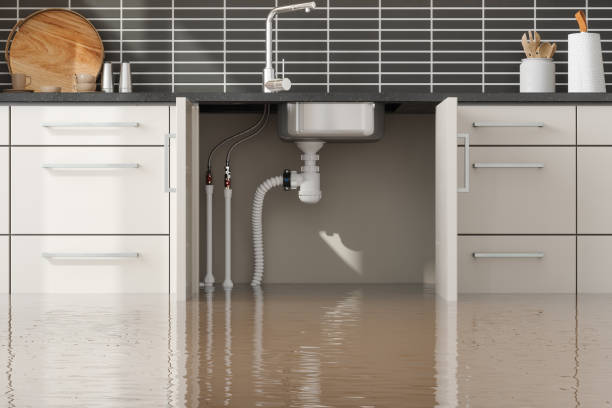 Best Flood restoration services  in Peppermill Village, MD