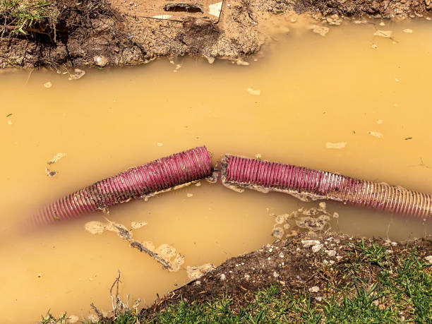 Best Water damage cleanup near me  in Peppermill Village, MD