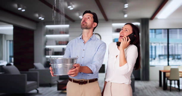 Best Water damage restoration near me  in Peppermill Village, MD