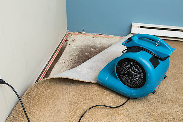 Best Water damage contractors near me  in Peppermill Village, MD